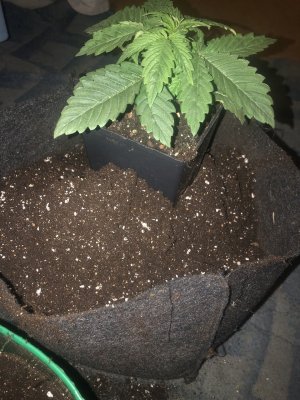 IMG_4934.jpeg IMG_4934.jpeg