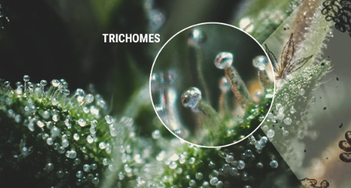 1698853702993.png 1698853702993.png