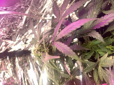 imgonline-com-ua-dexifmzS3HE8pBQUg.jpg imgonline-com-ua-dexifmzS3HE8pBQUg.jpg