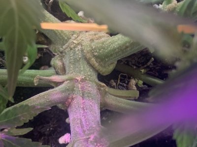 imgonline-com-ua-dexif1OtjGs6do6Pf.jpg imgonline-com-ua-dexif1OtjGs6do6Pf.jpg