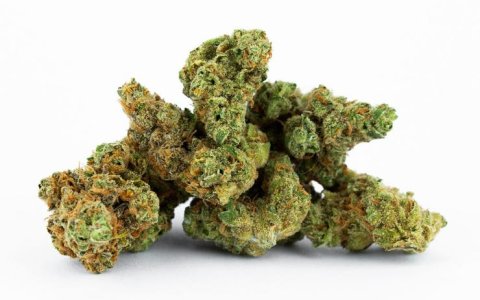 lemon's Bread.jpg lemon's Bread.jpg