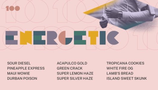 100strains-Categories-v2-Energetic-1920x1100-1x-1024x587.jpg 100strains-Categories-v2-Energetic-1920x1100-1x-1024x587.jpg