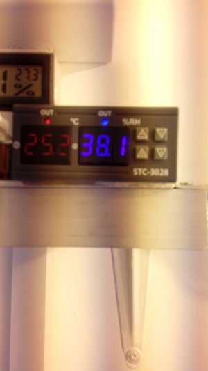 20210413_183953-min.jpg 20210413_183953-min.jpg