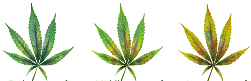 1642102847212.png 1642102847212.png