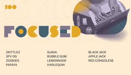 100strains-Categories-v2-Focused-1920x1100-1x-1024x587.jpg 100strains-Categories-v2-Focused-1920x1100-1x-1024x587.jpg