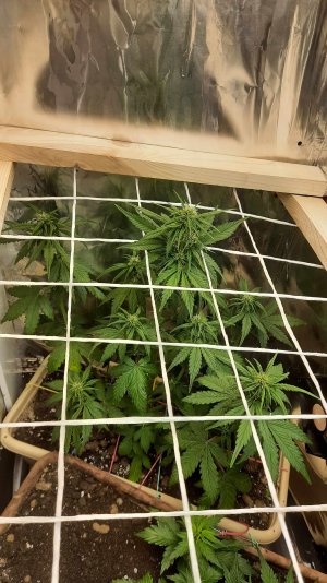 20211211_013750.jpg 20211211_013750.jpg