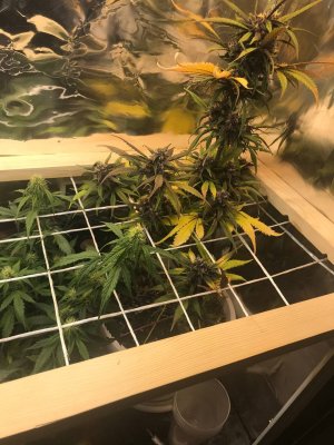 photo_2022-01-04_20-30-09.jpg photo_2022-01-04_20-30-09.jpg