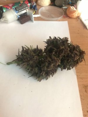 photo_2022-01-04_20-30-15.jpg photo_2022-01-04_20-30-15.jpg