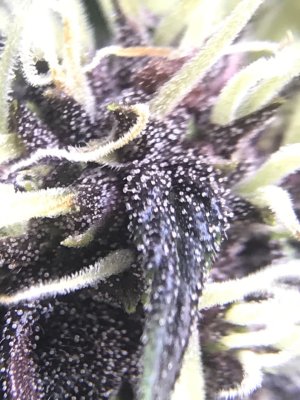 photo_2022-01-04_20-34-41.jpg photo_2022-01-04_20-34-41.jpg