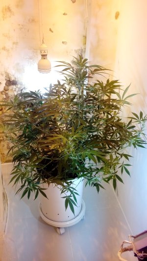 20220115_191231-min.jpg 20220115_191231-min.jpg