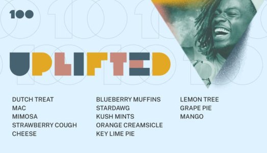 100strains-Categories-v2-Uplifted-1920x100-1x-1024x587.jpg 100strains-Categories-v2-Uplifted-1920x100-1x-1024x587.jpg