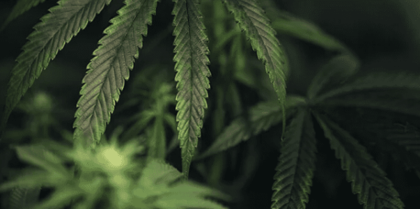 1642519503298.png 1642519503298.png