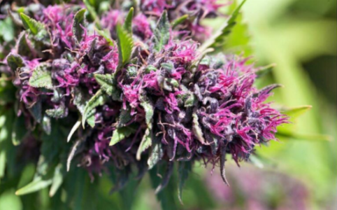 1642520175371.png 1642520175371.png