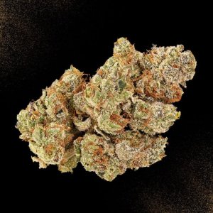 gmo cookies.jpg gmo cookies.jpg