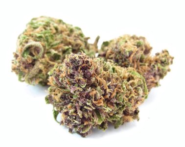 forbidden fruit.jpg forbidden fruit.jpg