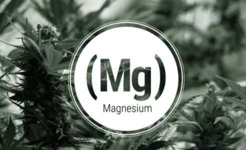 1642630204265.png 1642630204265.png