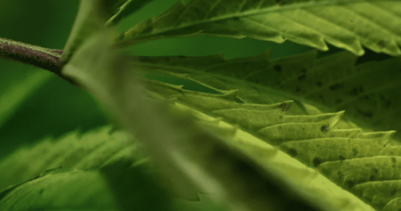 1643039240804.png 1643039240804.png