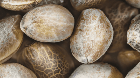 1643119196180.png 1643119196180.png