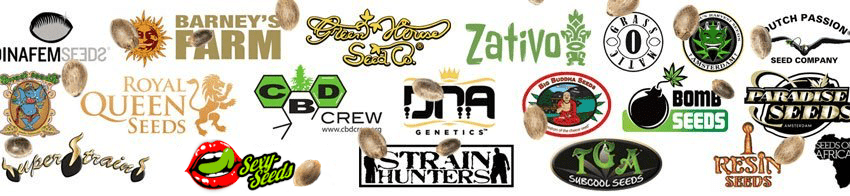 1643119374612.png 1643119374612.png