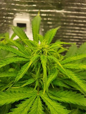 photo_2022-01-27_09-03-00 (2).jpg