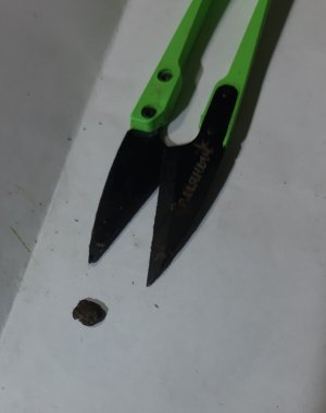 20220130_171204.jpg 20220130_171204.jpg