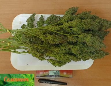 Picsart_23-10-31_01-08-48-987.jpg Picsart_23-10-31_01-08-48-987.jpg