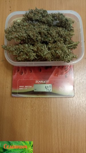 Picsart_23-11-04_21-42-41-266.jpg Picsart_23-11-04_21-42-41-266.jpg