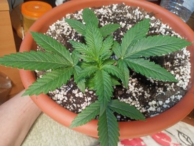 IMG20231106140947.jpg IMG20231106140947.jpg