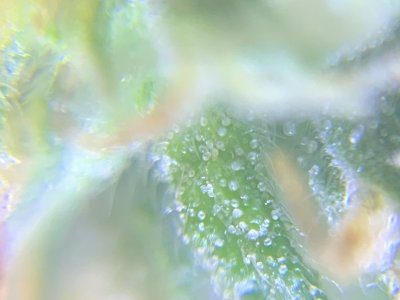 imgonline-com-ua-dexifaUTlJkEkDPt3.jpg imgonline-com-ua-dexifaUTlJkEkDPt3.jpg