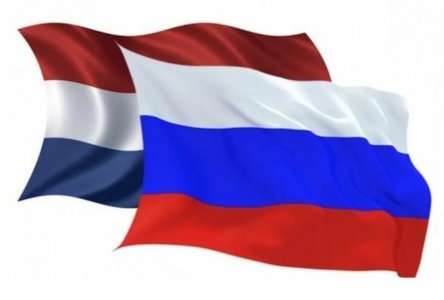 20231107_202251.jpg 20231107_202251.jpg