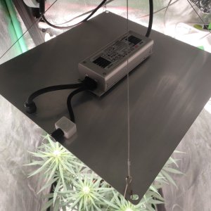 IMG20231110131011.jpg IMG20231110131011.jpg