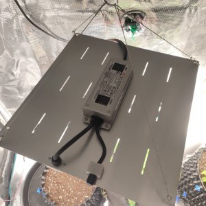 IMG20231110131039.jpg IMG20231110131039.jpg