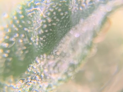 imgonline-com-ua-dexifKEDs7vezVRy9.jpg imgonline-com-ua-dexifKEDs7vezVRy9.jpg