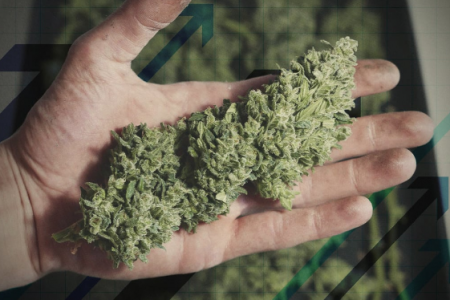 1699902905576.png 1699902905576.png