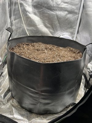 IMG_3505.jpeg IMG_3505.jpeg