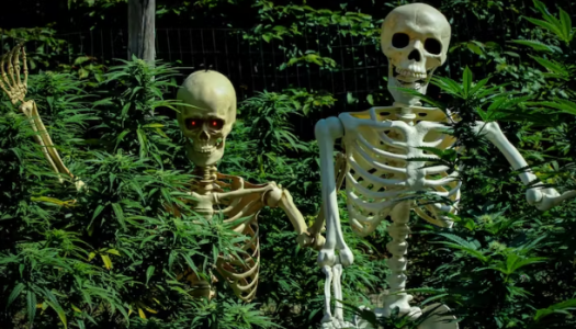 1700061475671.png 1700061475671.png