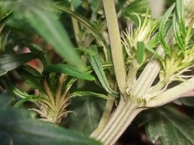 IMG20231119141912.jpg IMG20231119141912.jpg