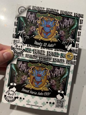 IMG_E6777.JPG IMG_E6777.JPG