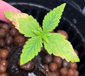 photo_8_2023-11-20_17-18-56.jpg photo_8_2023-11-20_17-18-56.jpg