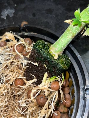 photo_2023-11-22_12-06-45.jpg photo_2023-11-22_12-06-45.jpg