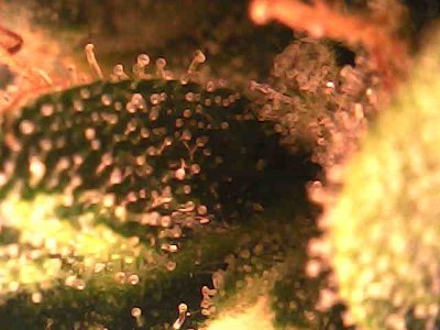 photo_2023-11-24_22-17-35.jpg photo_2023-11-24_22-17-35.jpg