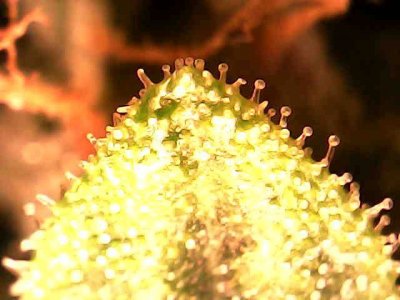 photo_2023-11-24_22-17-27.jpg photo_2023-11-24_22-17-27.jpg