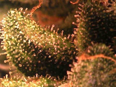 photo_2023-11-24_21-59-17.jpg photo_2023-11-24_21-59-17.jpg