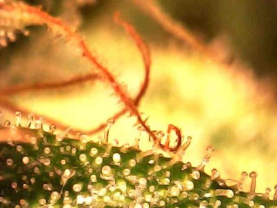 photo_2023-11-24_21-59-03.jpg photo_2023-11-24_21-59-03.jpg