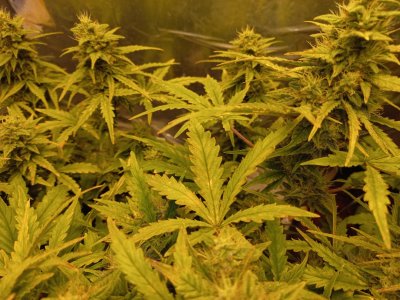 20231124_212737.jpg 20231124_212737.jpg