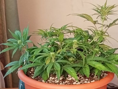 IMG20231125132116.jpg IMG20231125132116.jpg