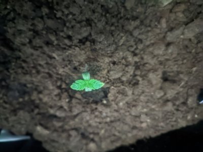 photo_2023-11-28_18-12-36 (2).jpg