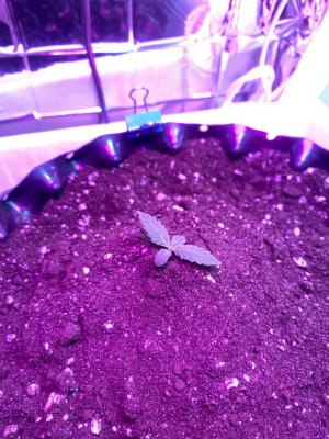 3 дня.jpg 3 дня.jpg