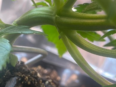 16 дней.jpg 16 дней.jpg