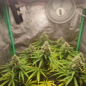 IMG20231203160548.jpg IMG20231203160548.jpg